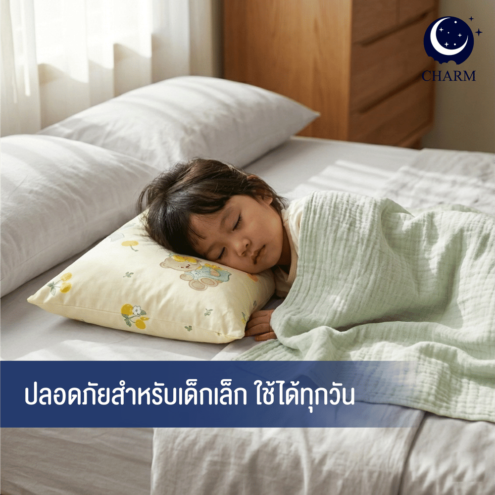 หมอน CHARM 1 ใบ (คละลาย) หมอนอเนกประสงค์ 35X50 ซม.
